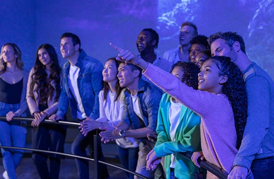 A group of people sit on a flight ride superimposed over an ocean scene.